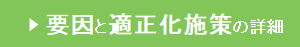 要因と適正化施策の詳細