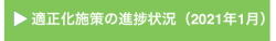 進捗報告（2021年1月）リンクボタン