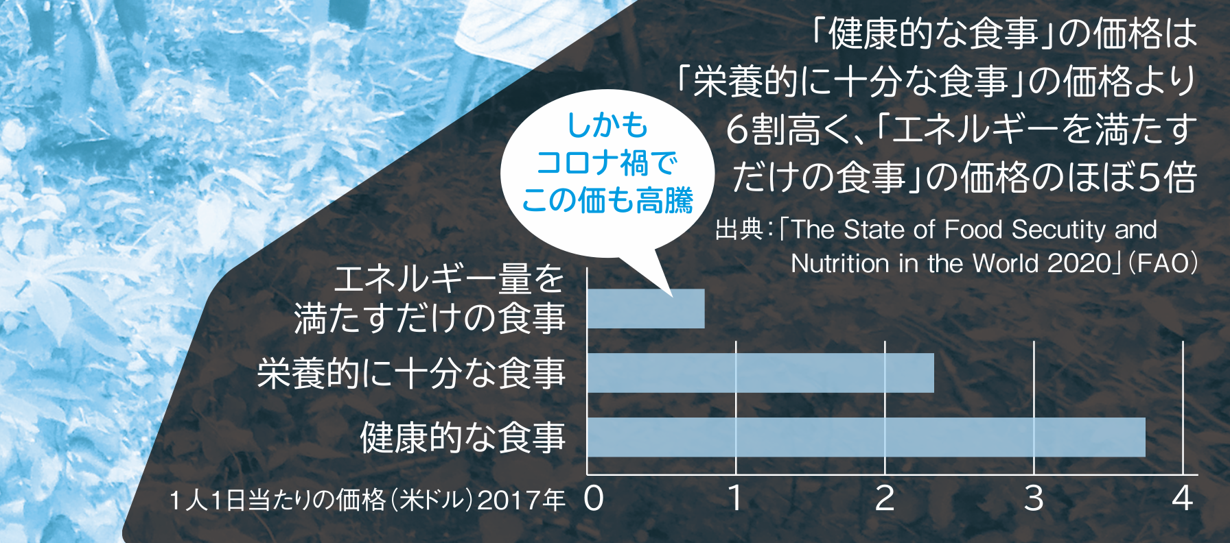 健康的な食事には費用がかかる