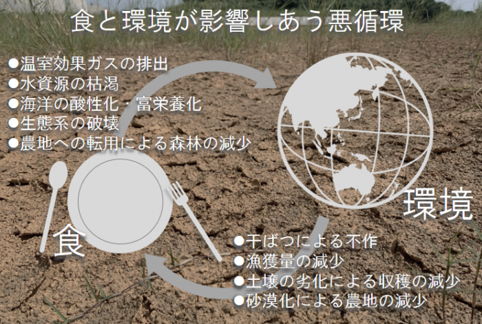 ※2 2017年の割合。国連食糧農業機関, AQUASTAT data ※3国連食糧農業機関(2011年)