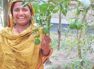 家庭菜園でレモンを育てるバングラデシュの女性
