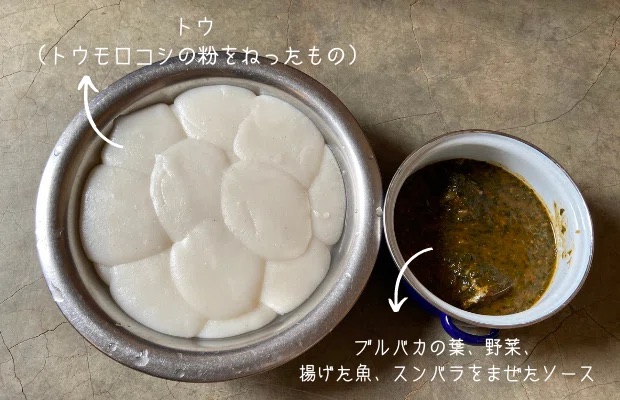 トウ・ソースブルバカの完成形