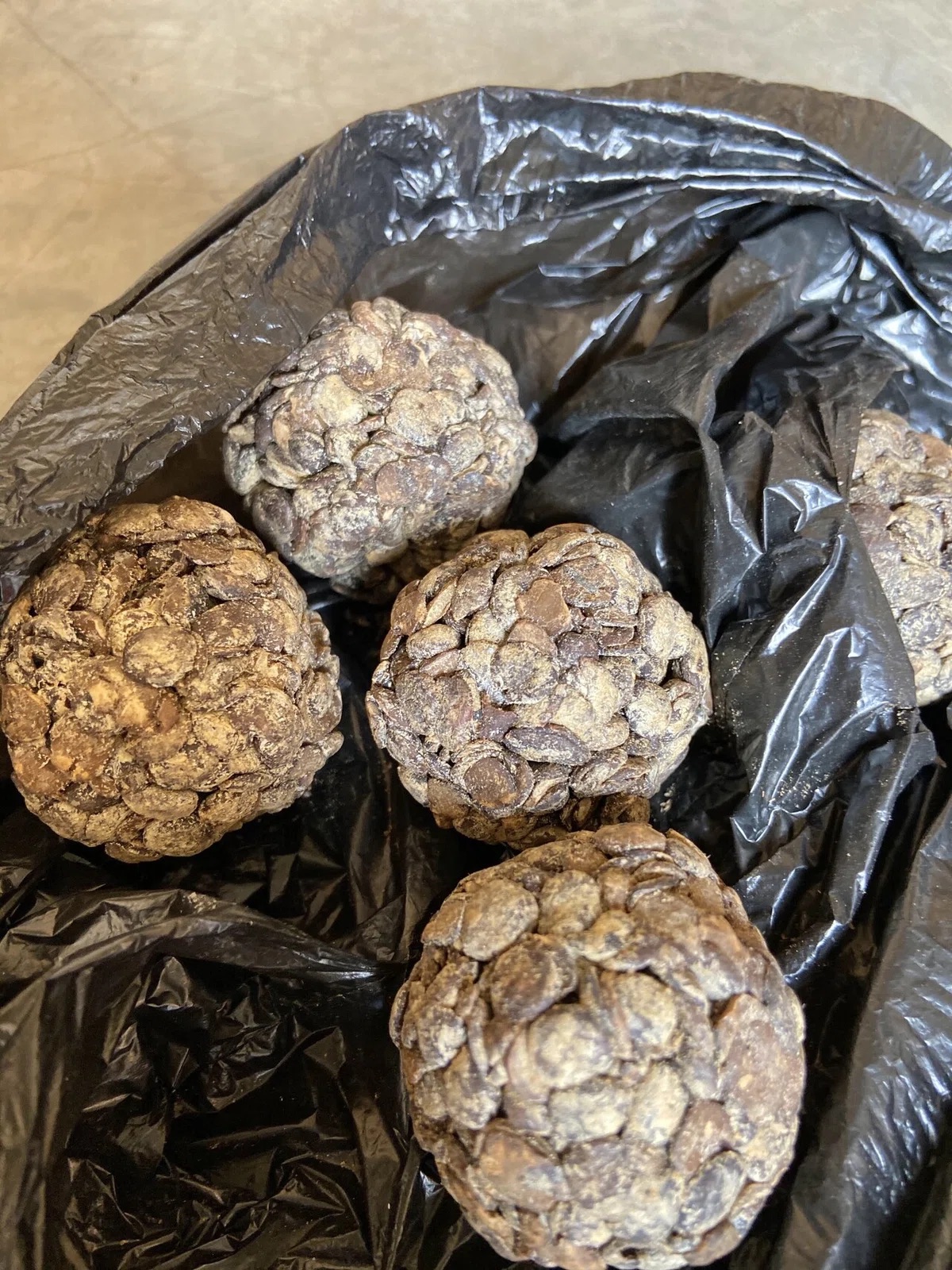 「ブルキナファソ版納豆」スンバラ