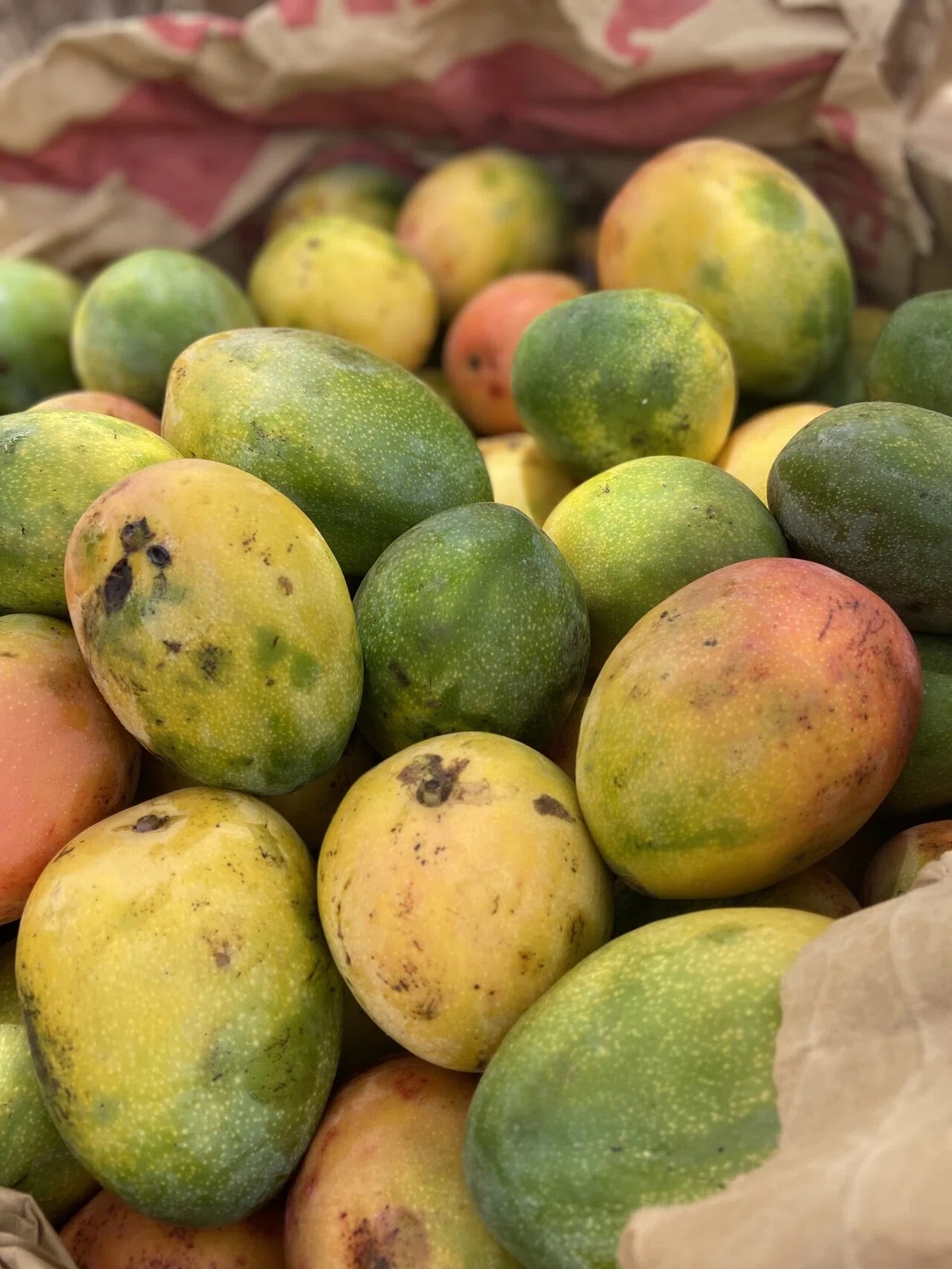 ブルキナファソ産のマンゴー